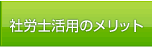 �ИJ�m���p�̃����b�g